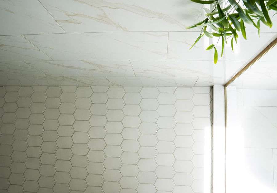 Colony Woods Bathroom - BK Interior Design project photograph