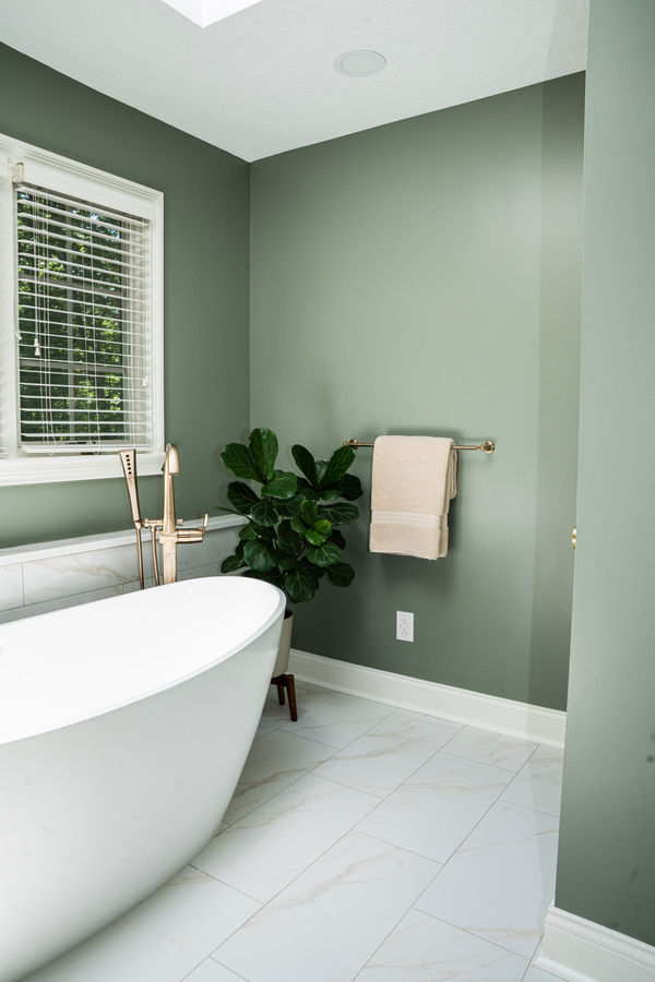 Colony Woods Bathroom - BK Interior Design project photograph